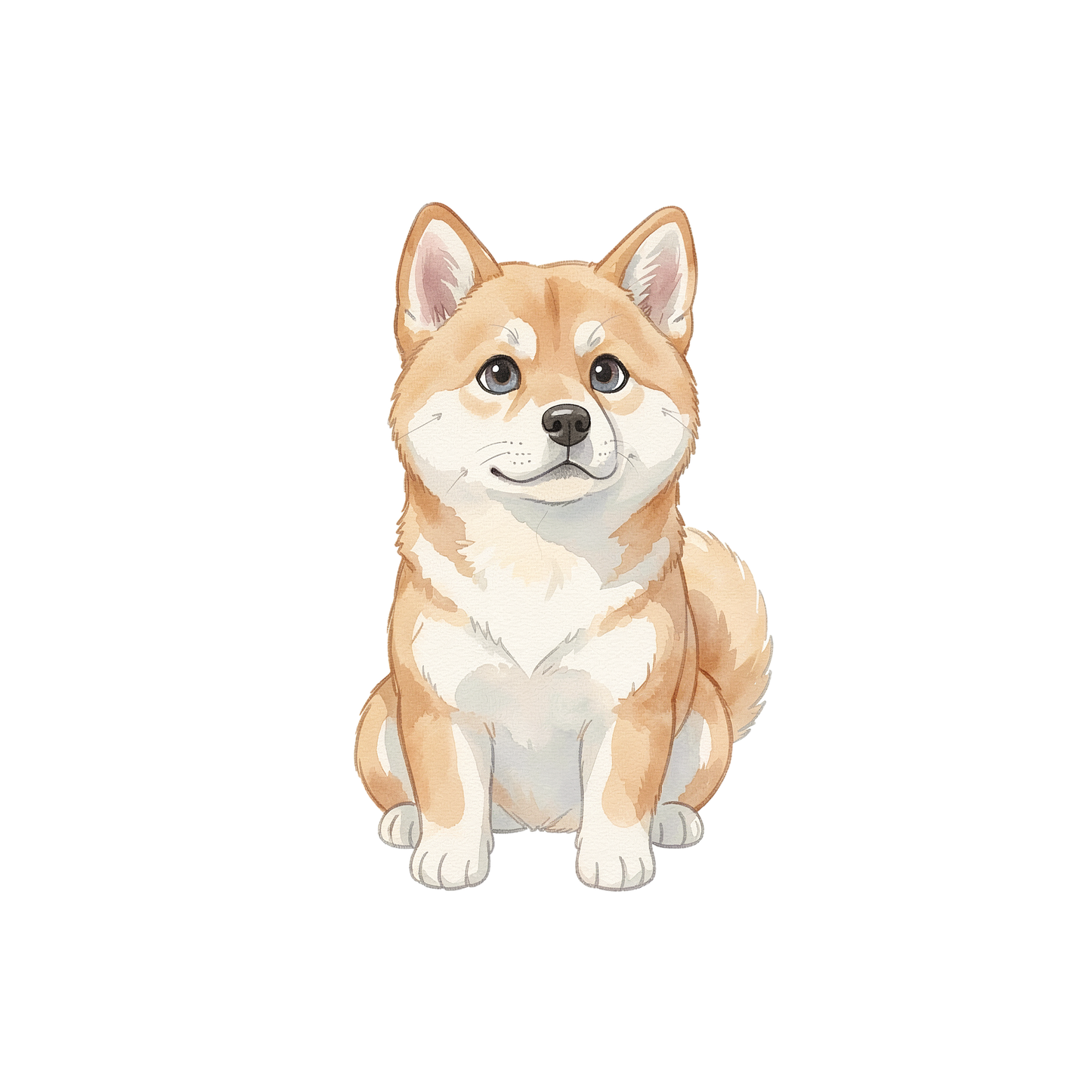 Akita - Shiba-einzel-4.png