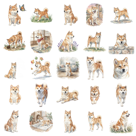 Akita - Shiba-titelbild.png