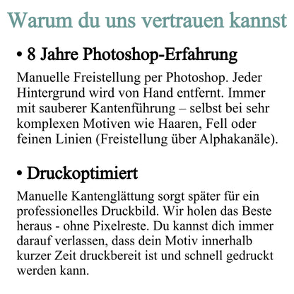 Freistellservice: Wir entfernen den Hintergrund