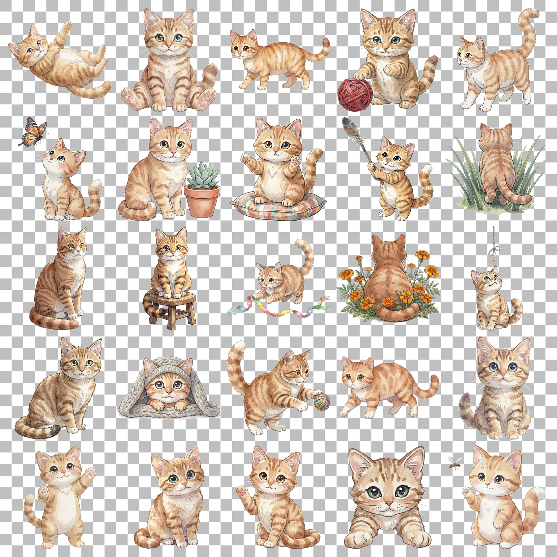 Babykatze-transparent.png