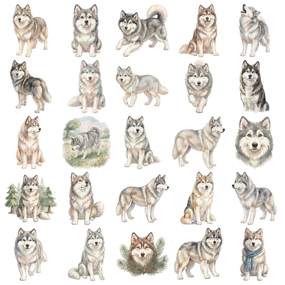 Husky-titelbild.png