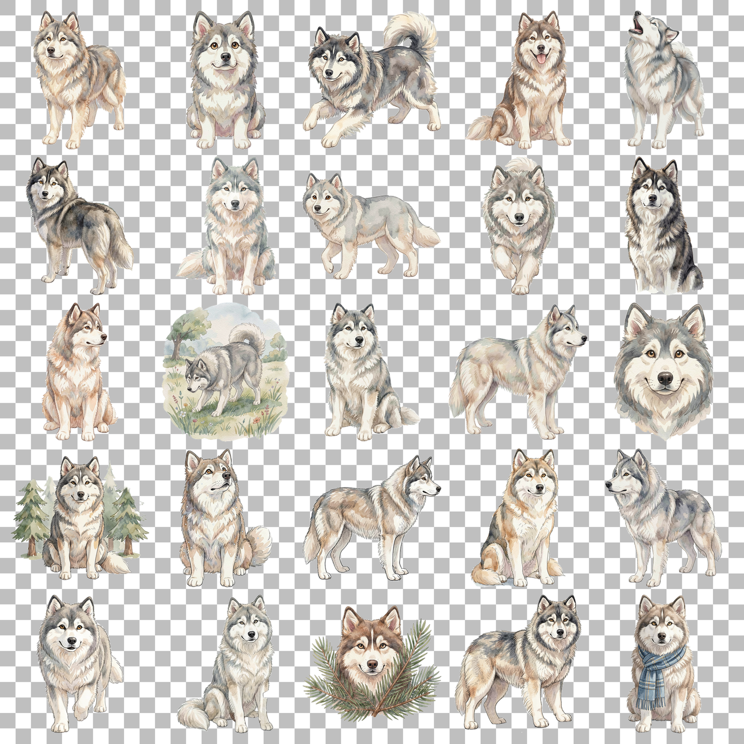 Husky-transparent.png