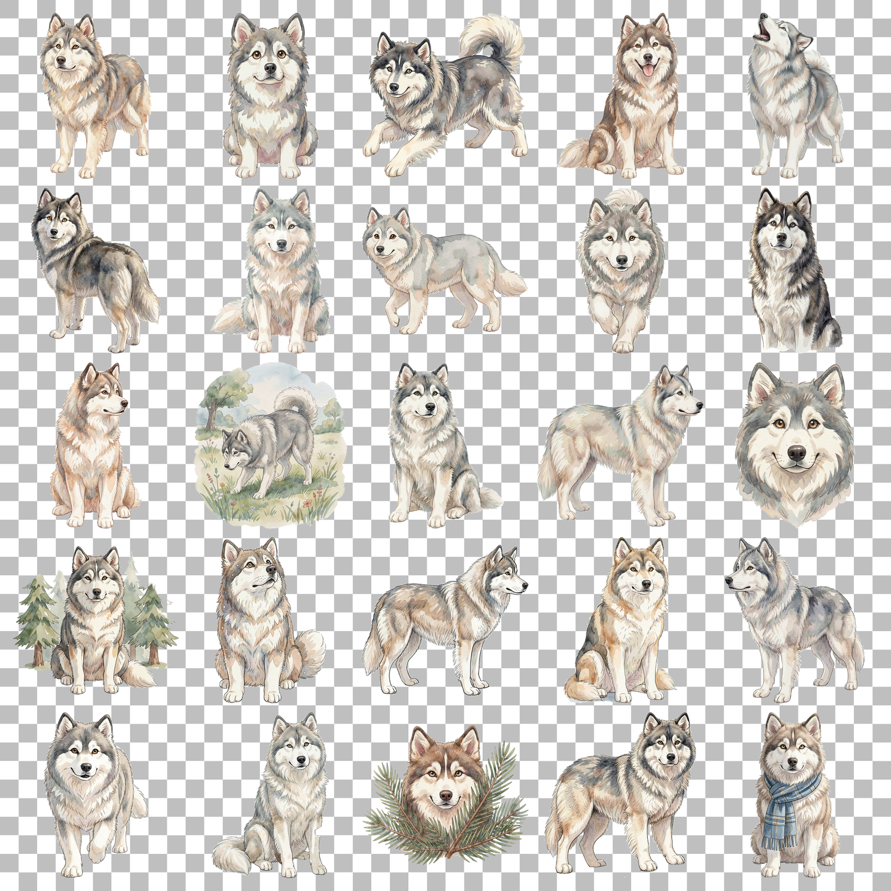 Husky-transparent.png