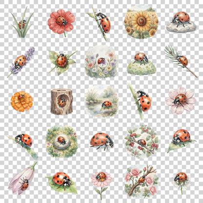 Marienkäfer-transparent.png