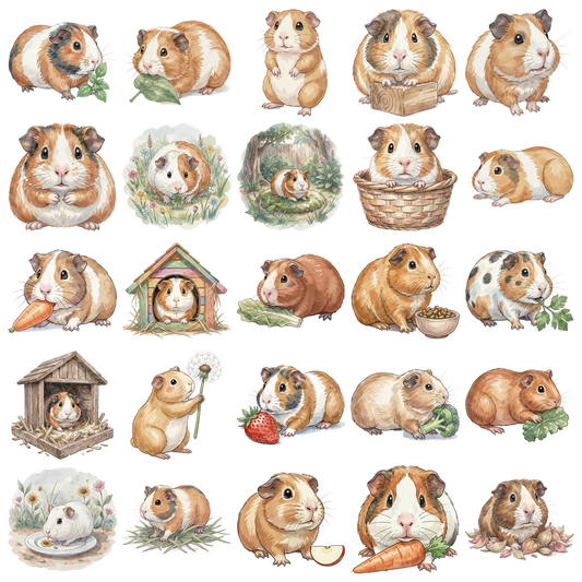 Meerschweinchen-titelbild.png
