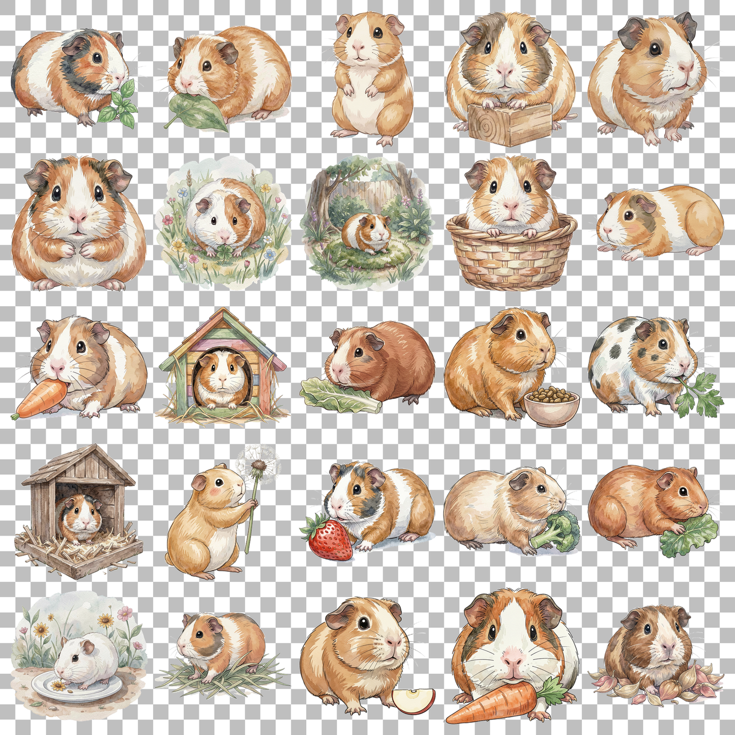 Meerschweinchen-transparent.png