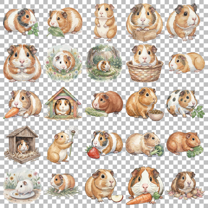 Meerschweinchen-transparent.png