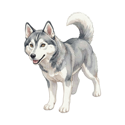 Siberian Husky-einzel-2.png