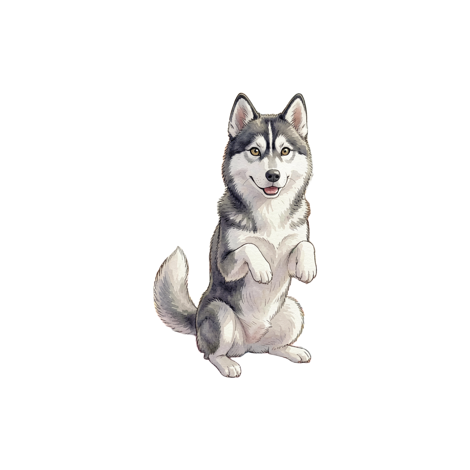 Siberian Husky-einzel-5.png
