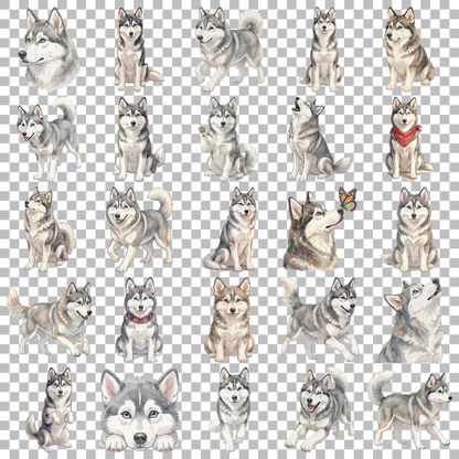 Siberian Husky-transparent.png
