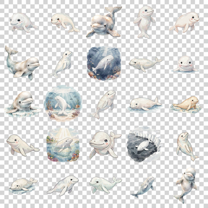 Wal-transparent.png