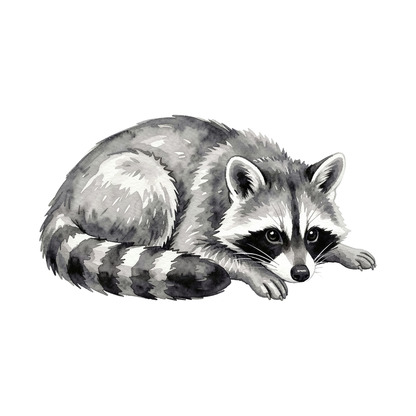 Waschbär-einzel-2.png