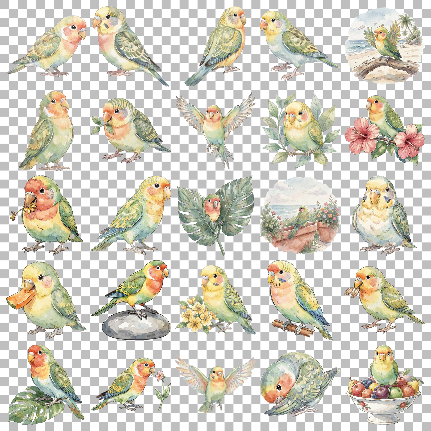 Wellensittich-transparent.png