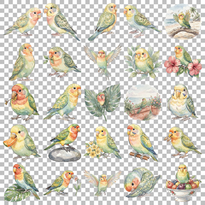 Wellensittich-transparent.png