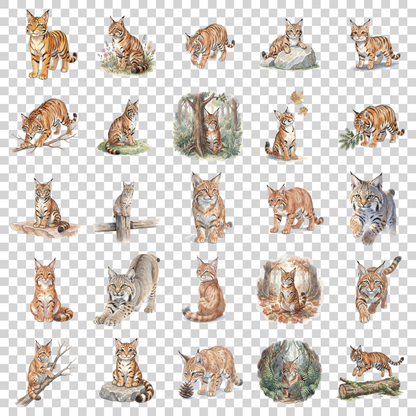 Wildkatze-transparent.png