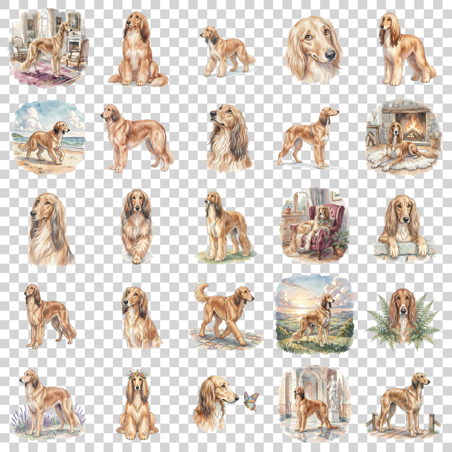 afghanischer-windhund-transparent.png