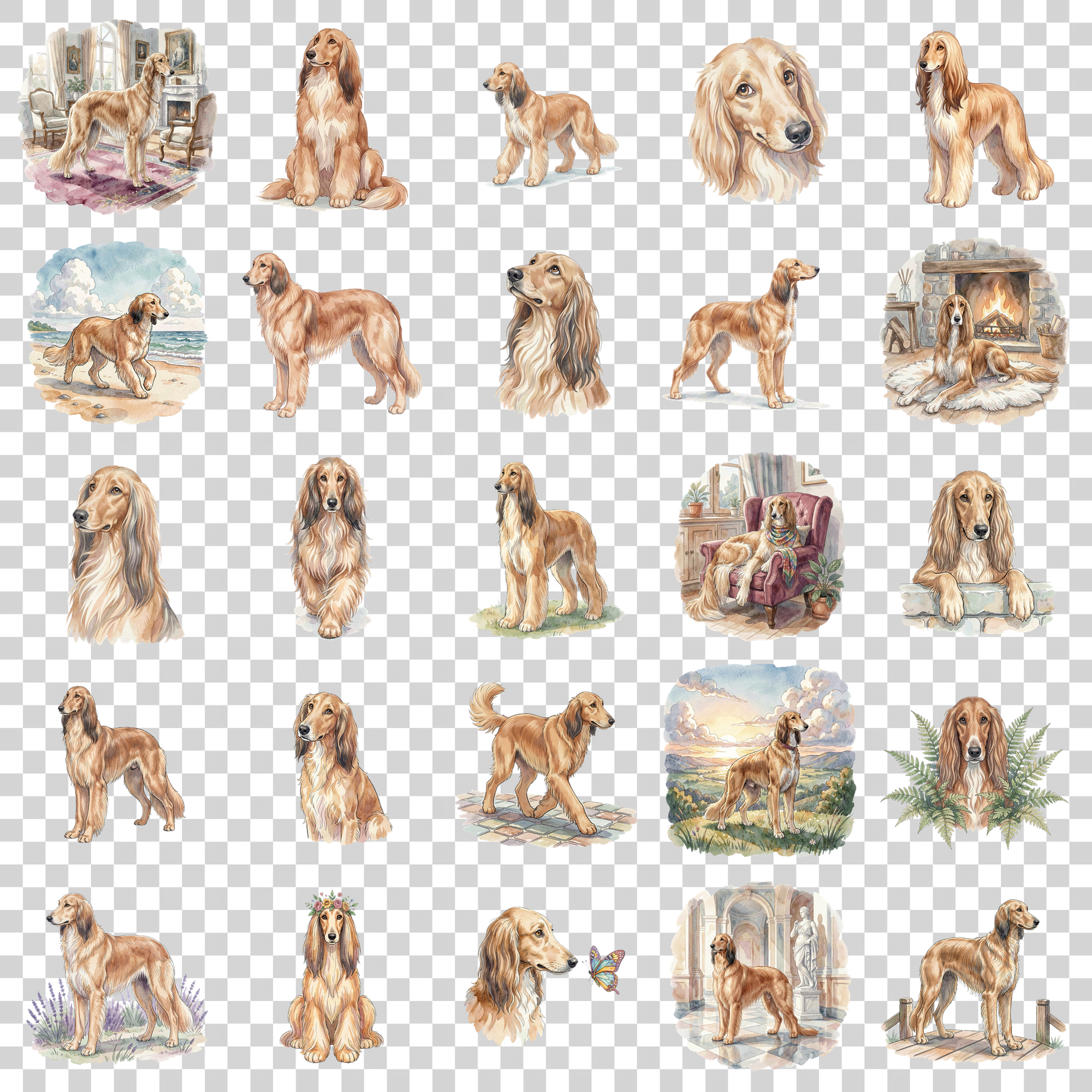 afghanischer-windhund-transparent.png