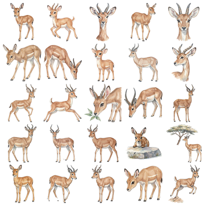 antilope-titelbild.png