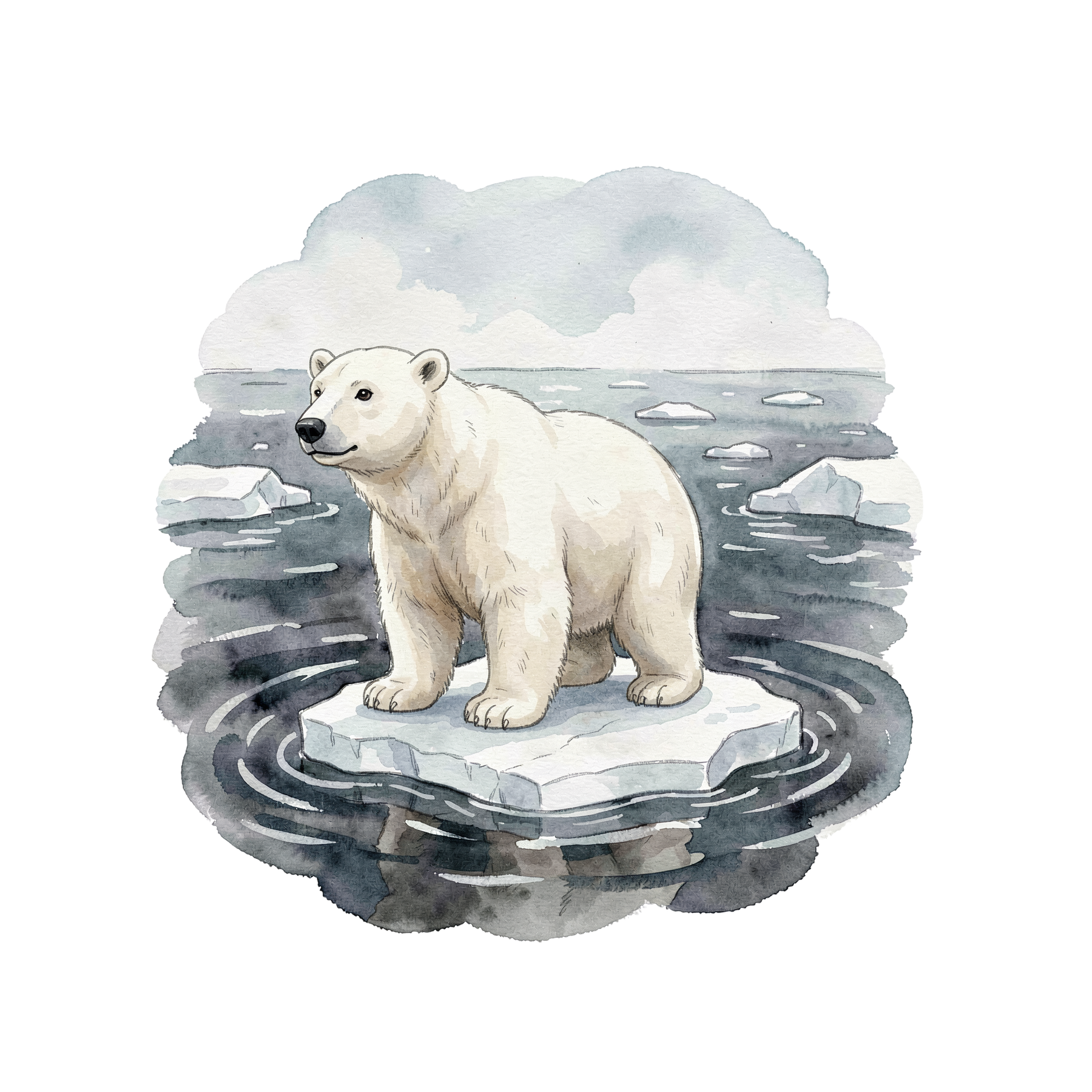 arktische-tiere-einzel-1.png