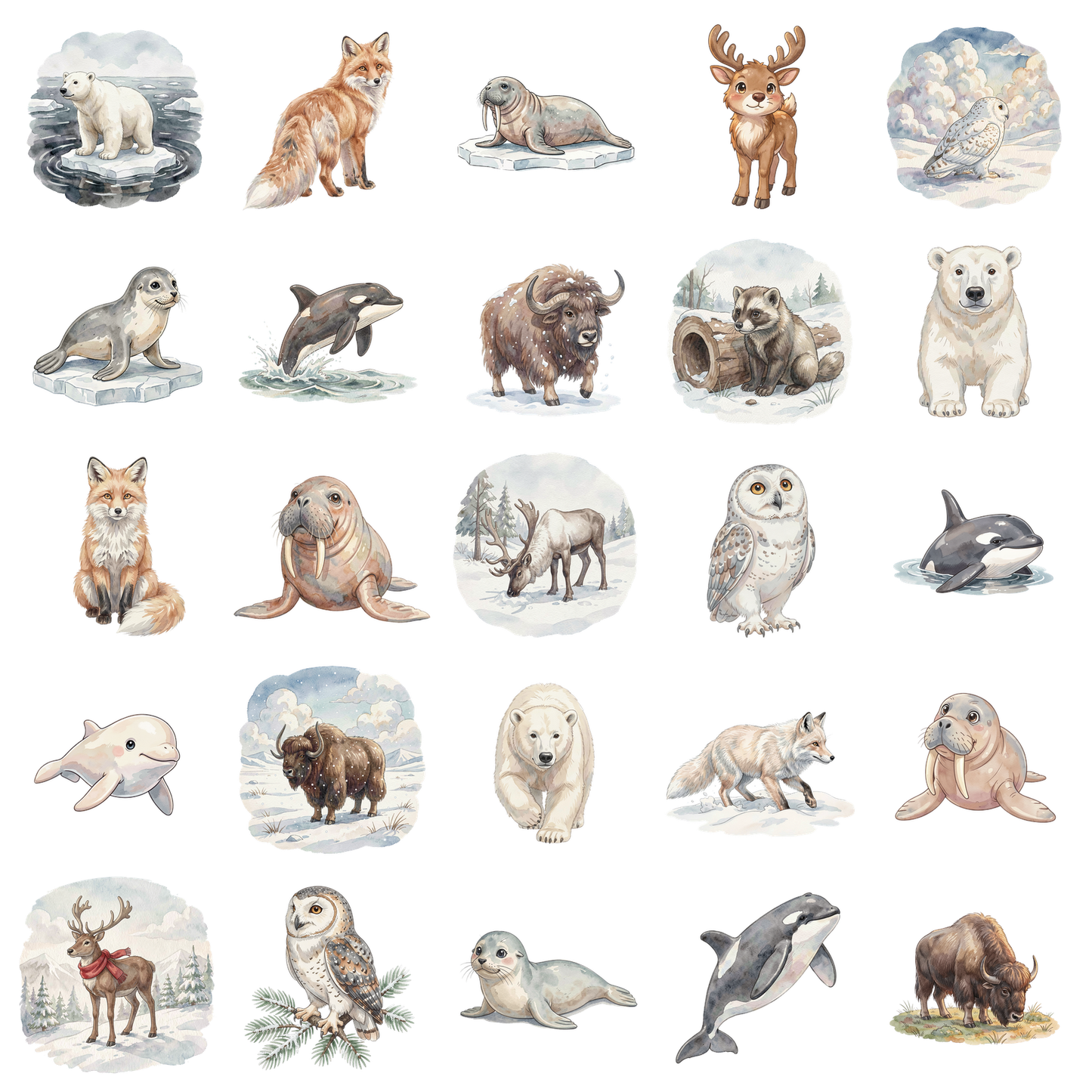 arktische-tiere-titelbild.png