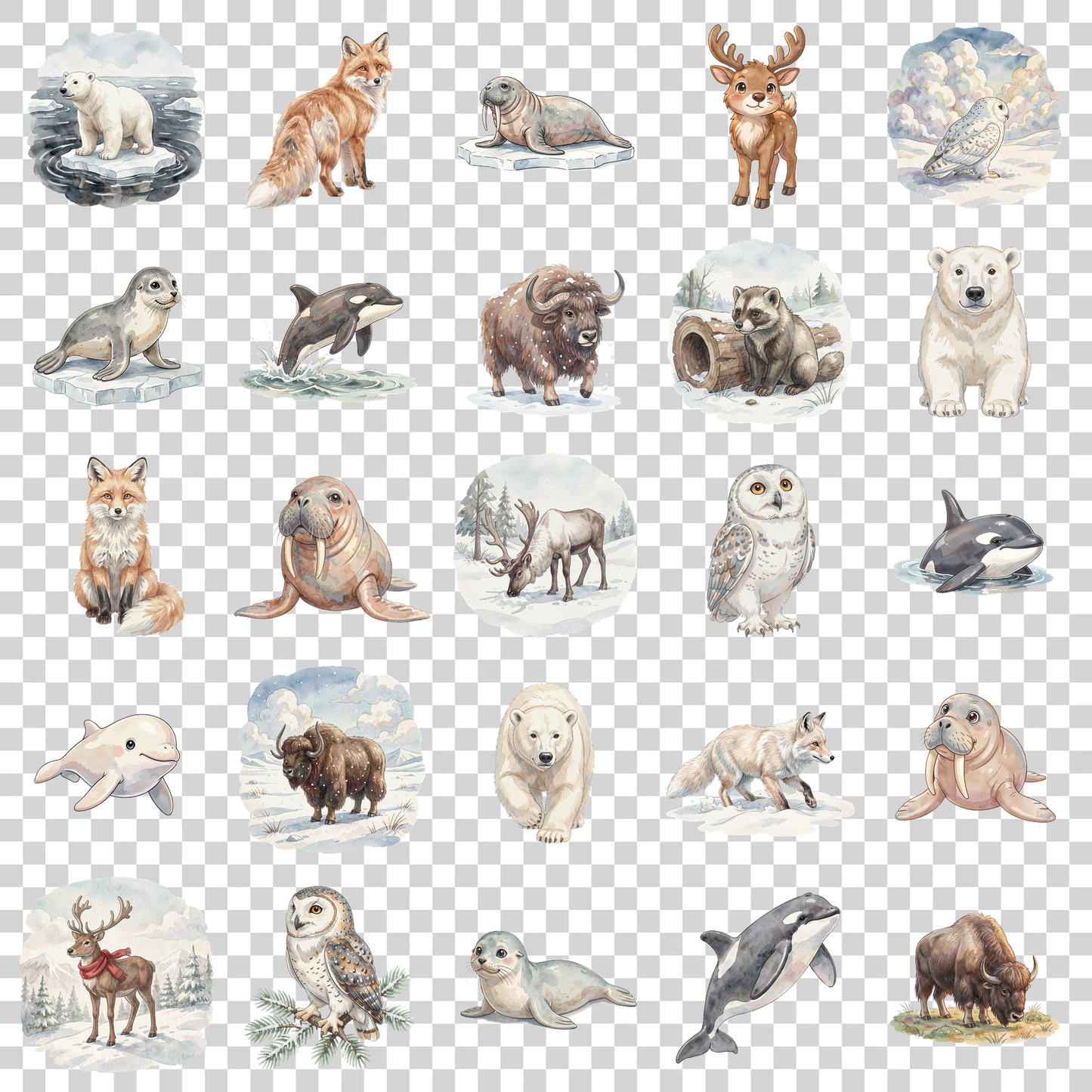 arktische-tiere-transparent.png