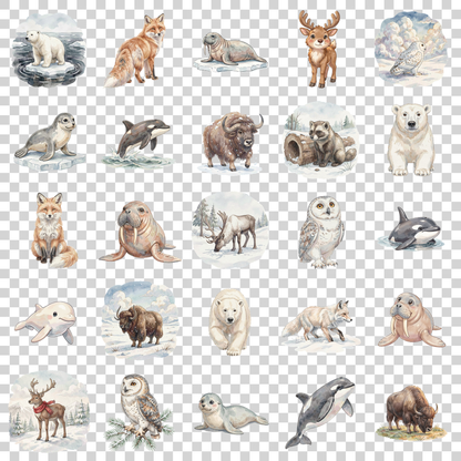 arktische-tiere-transparent.png