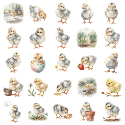 baby-huhn-titelbild.png