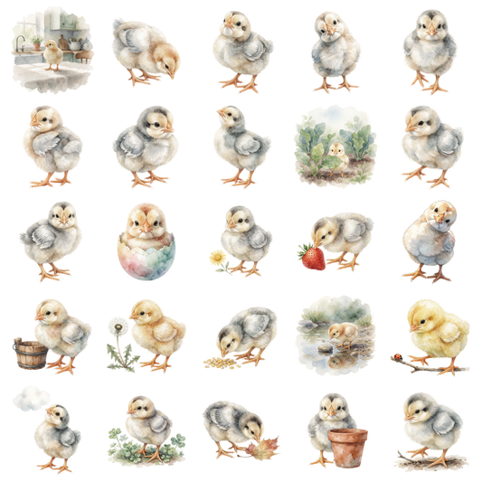 baby-huhn-titelbild.png