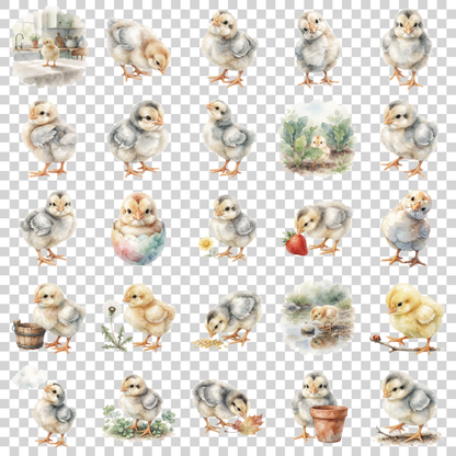 baby-huhn-transparent.png