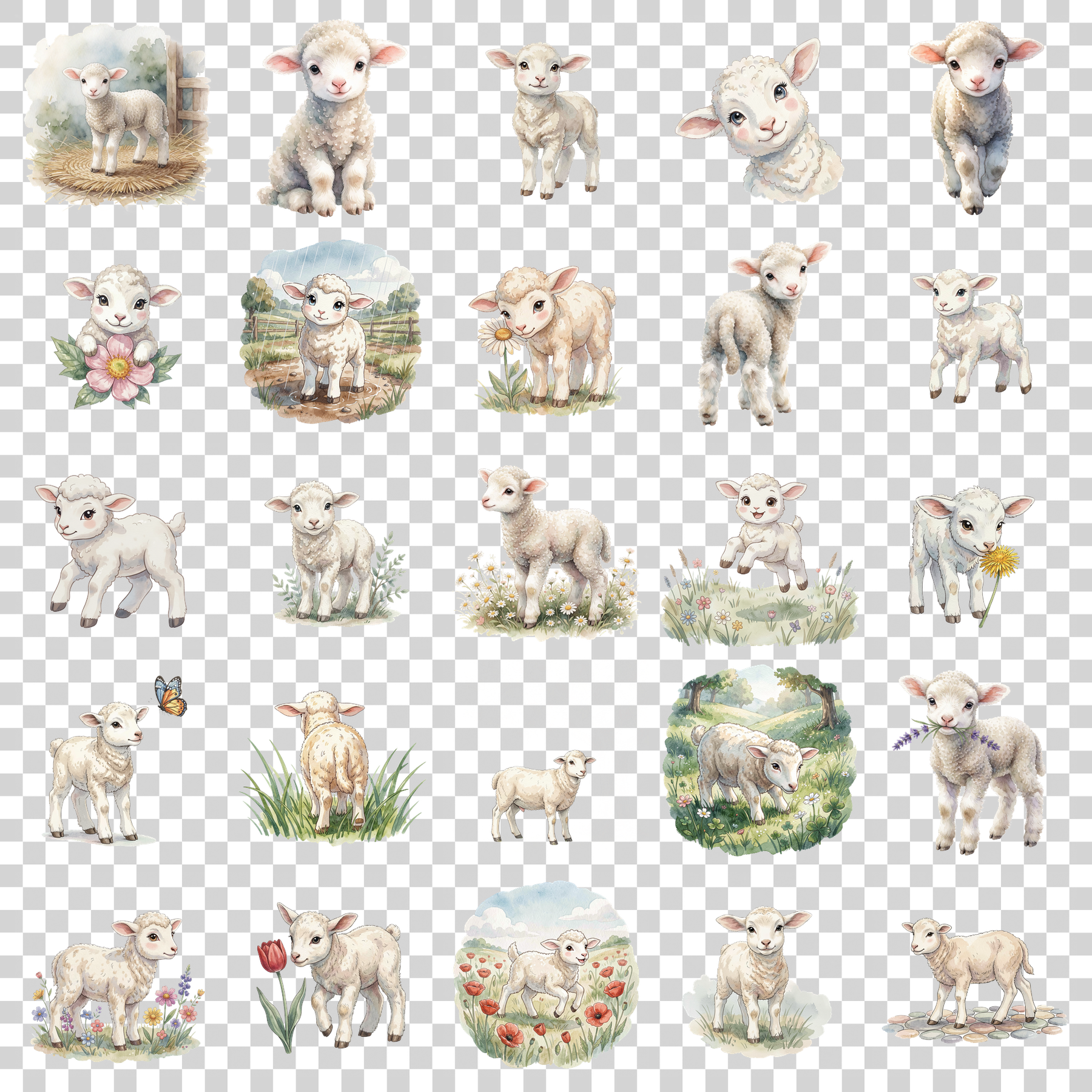 baby-lamm-transparent.png