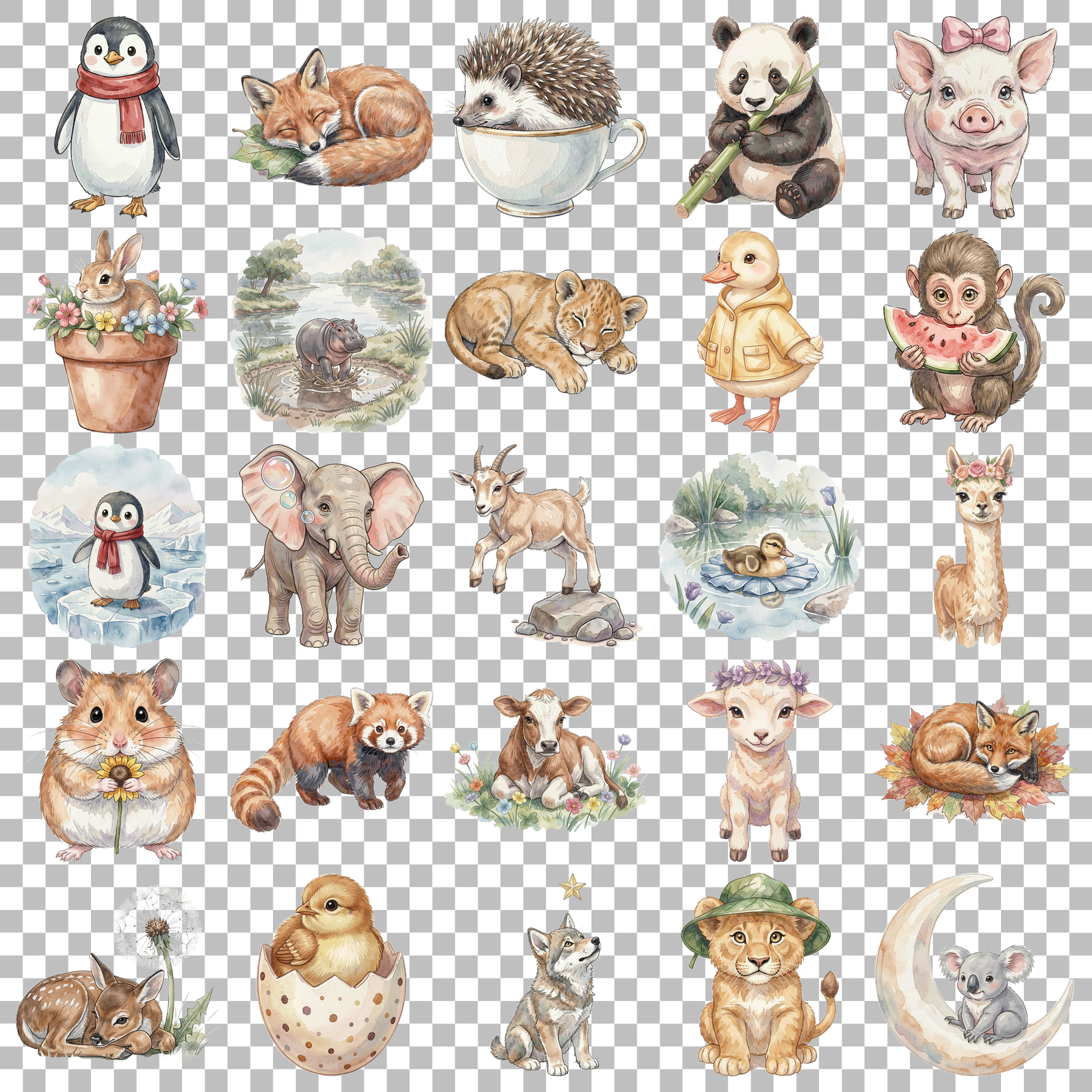 baby-tiere-transparent.png