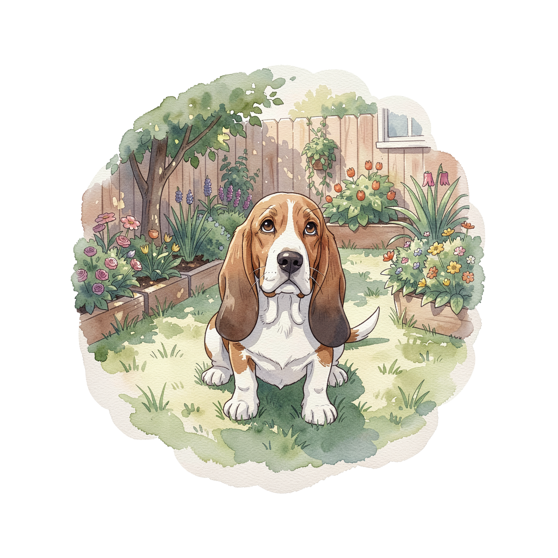 basset-hound-einzel-2.png