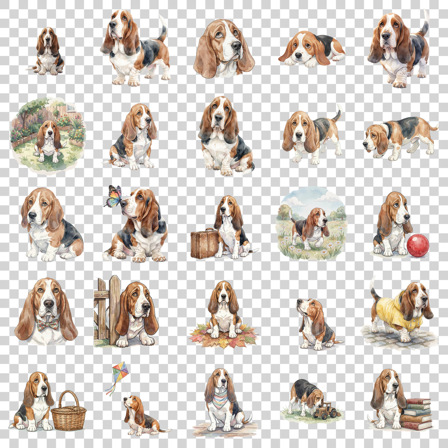 basset-hound-transparent.png