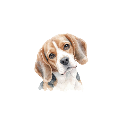 beagle-einzel-1.png