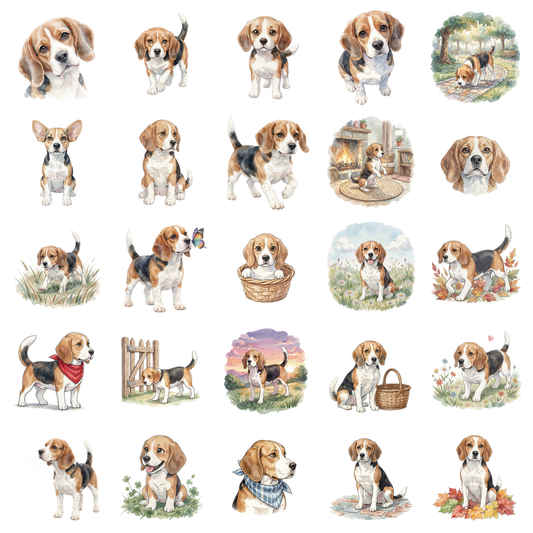 beagle-titelbild.png