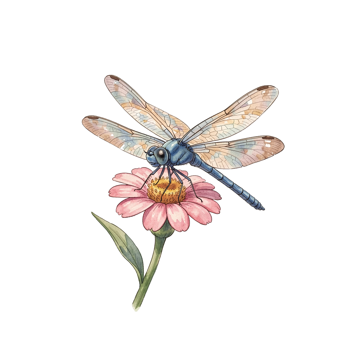 beliebte-garteninsekten-einzel-5.png