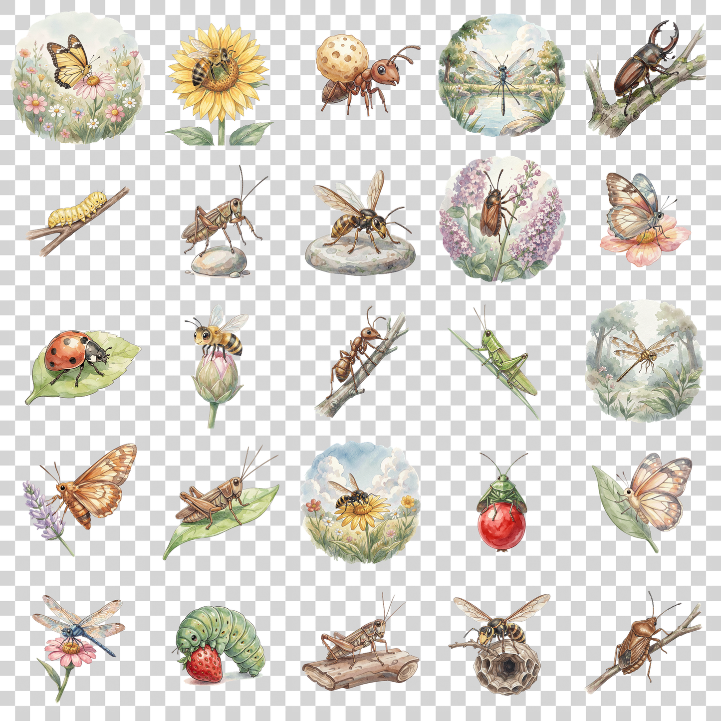 beliebte-garteninsekten-transparent.png