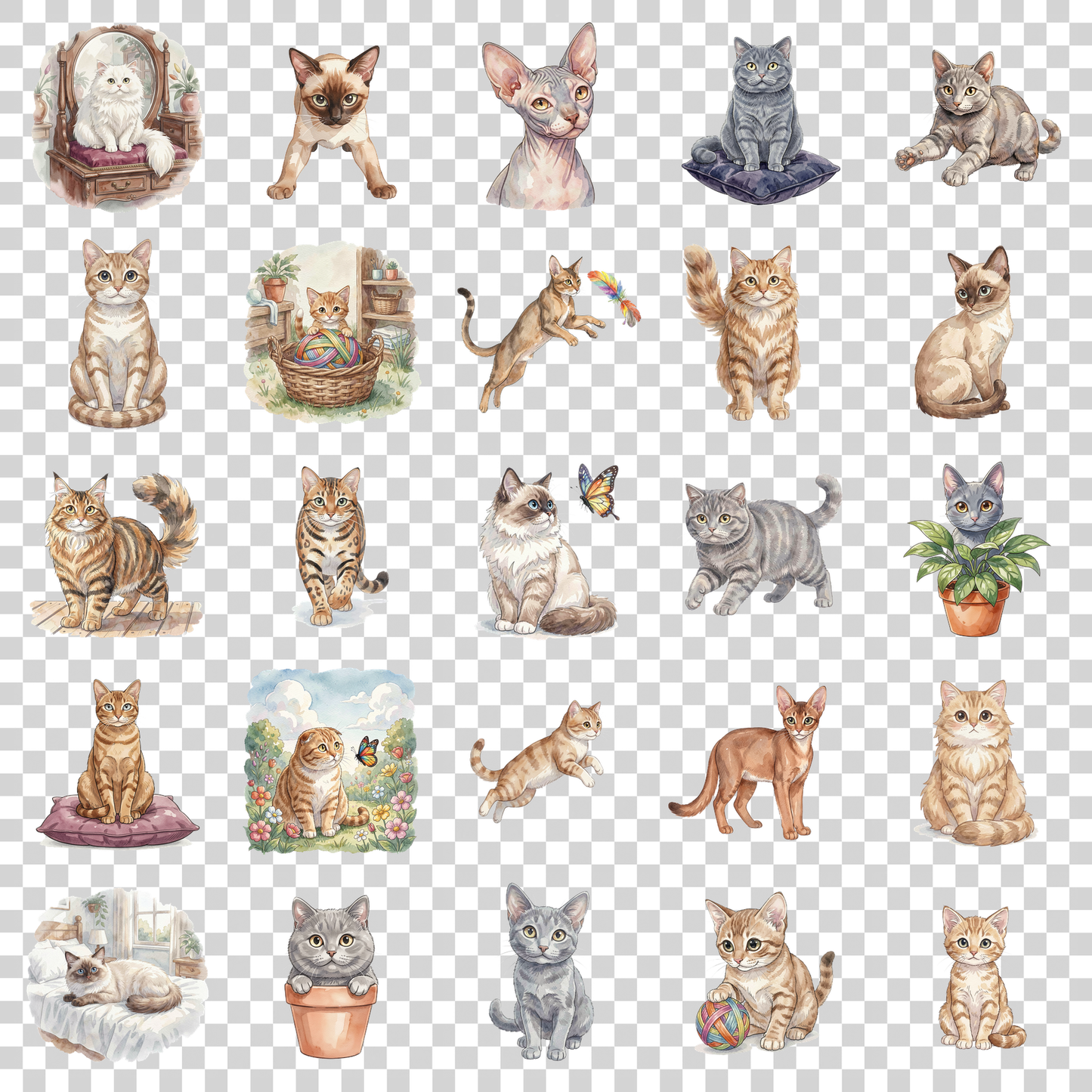 beliebte-katzenrassen-transparent.png