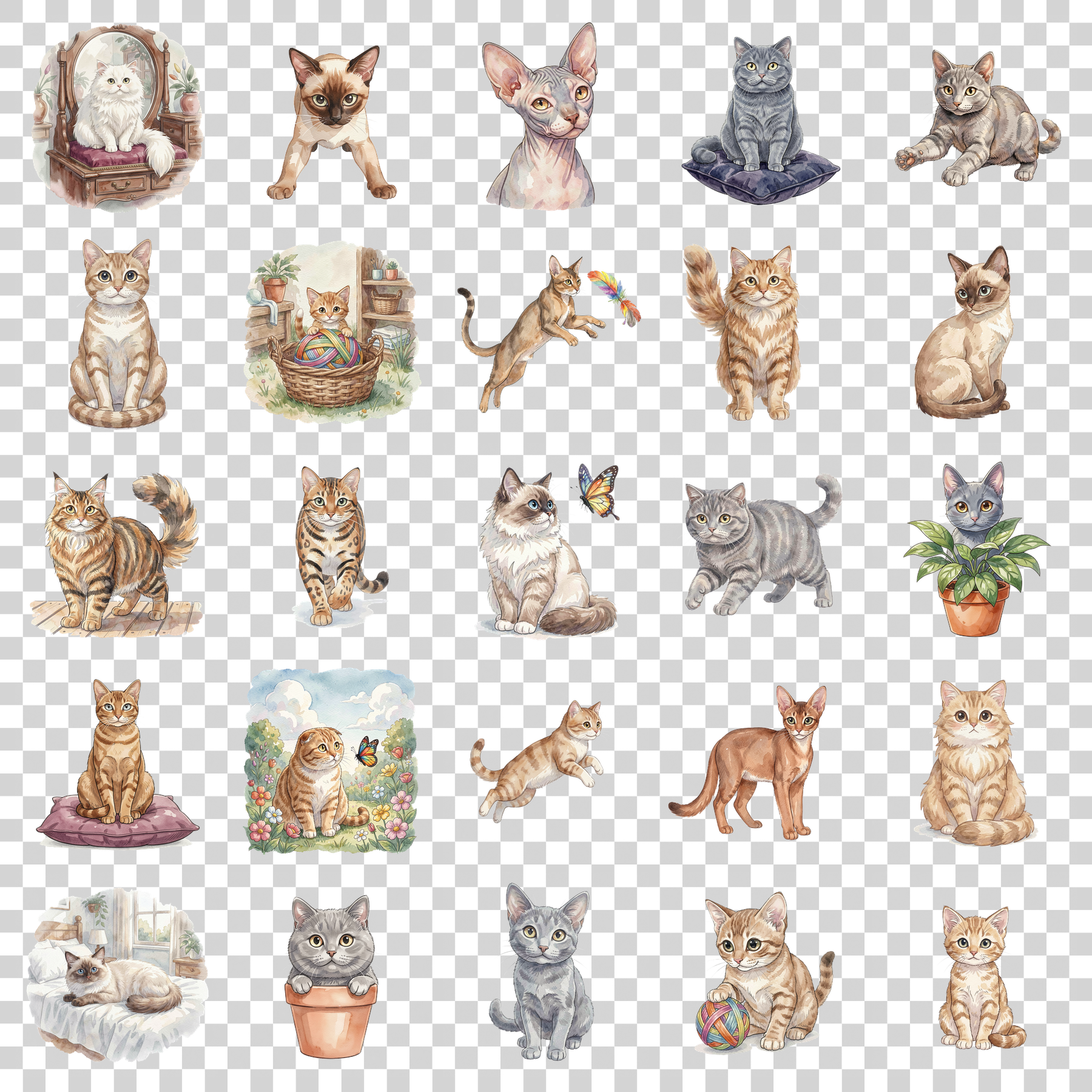 beliebte-katzenrassen-transparent.png