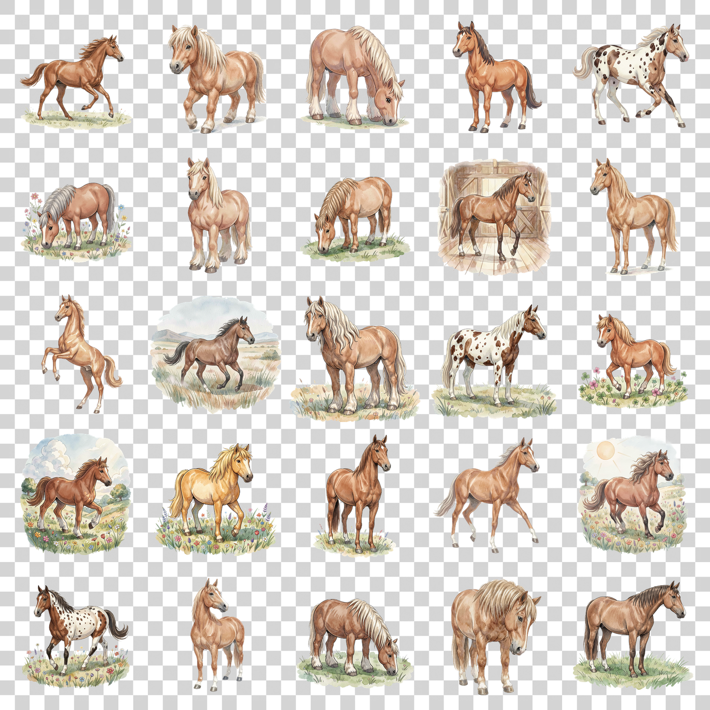 beliebte-pferderassen-transparent.png