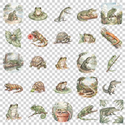 beliebte-reptilien-und-amphibien-transparent.png