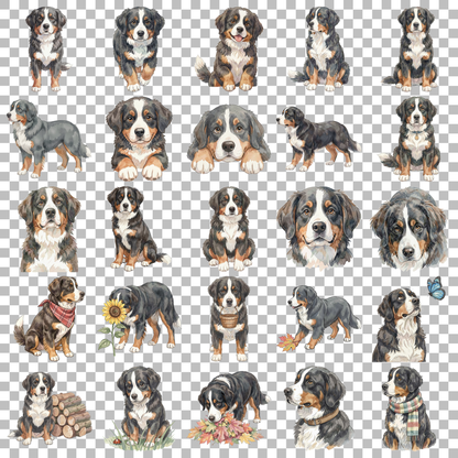 berner-sennenhund-transparent.png