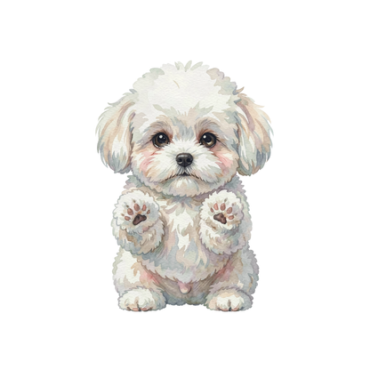bichon-frise-einzel-3.png