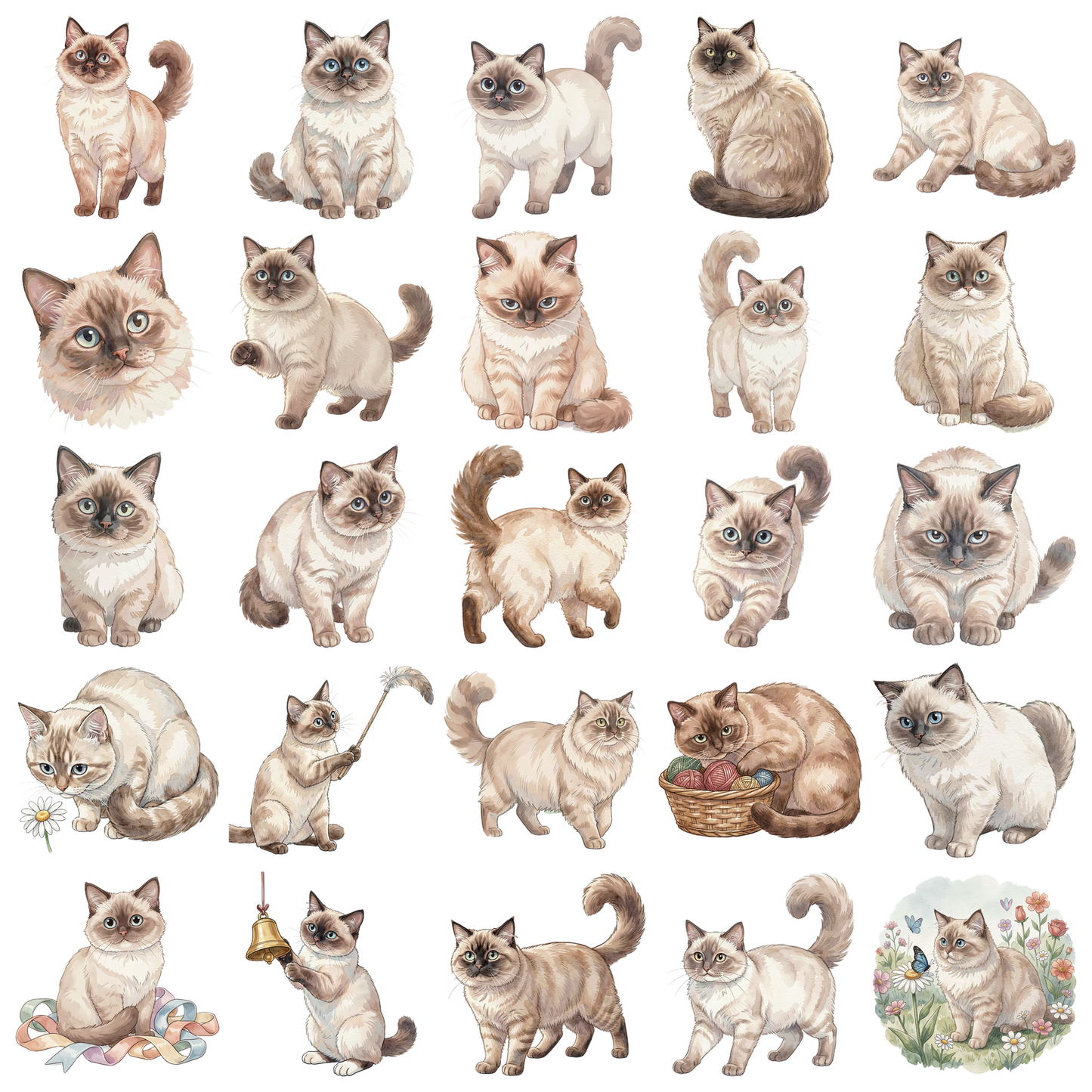 birmanenkatze-titelbild.png