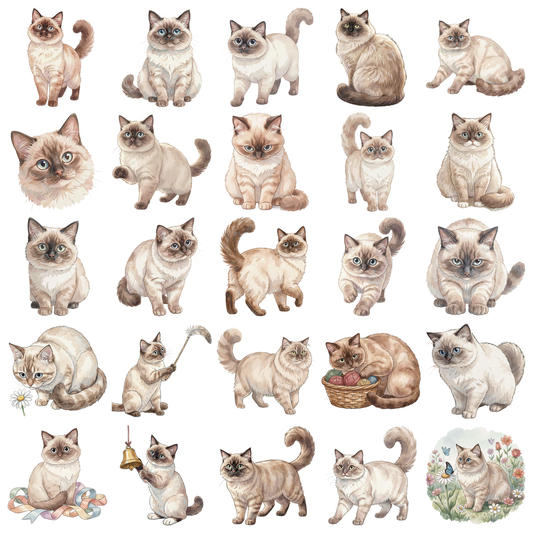 birmanenkatze-titelbild.png