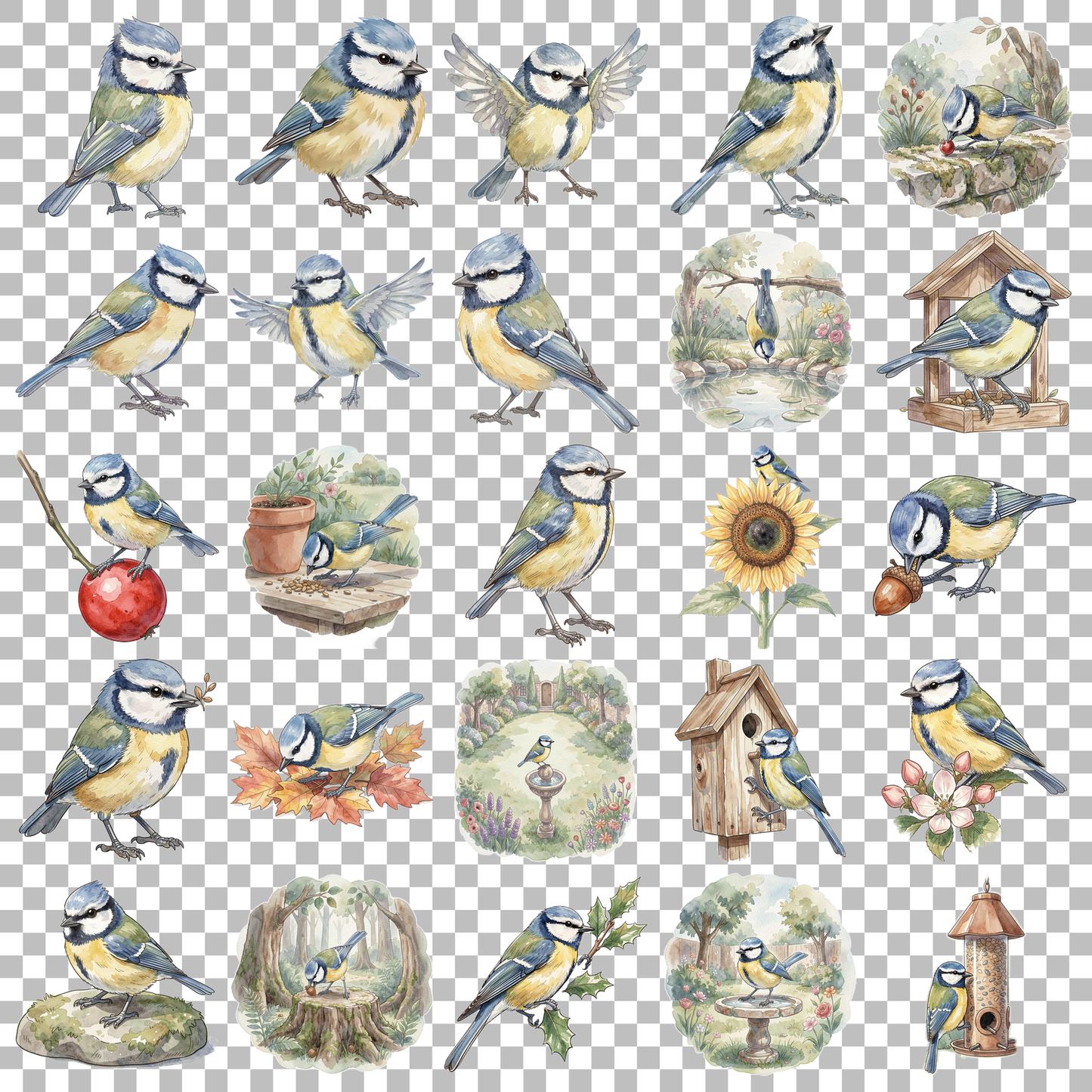 blaues-meise-transparent.png