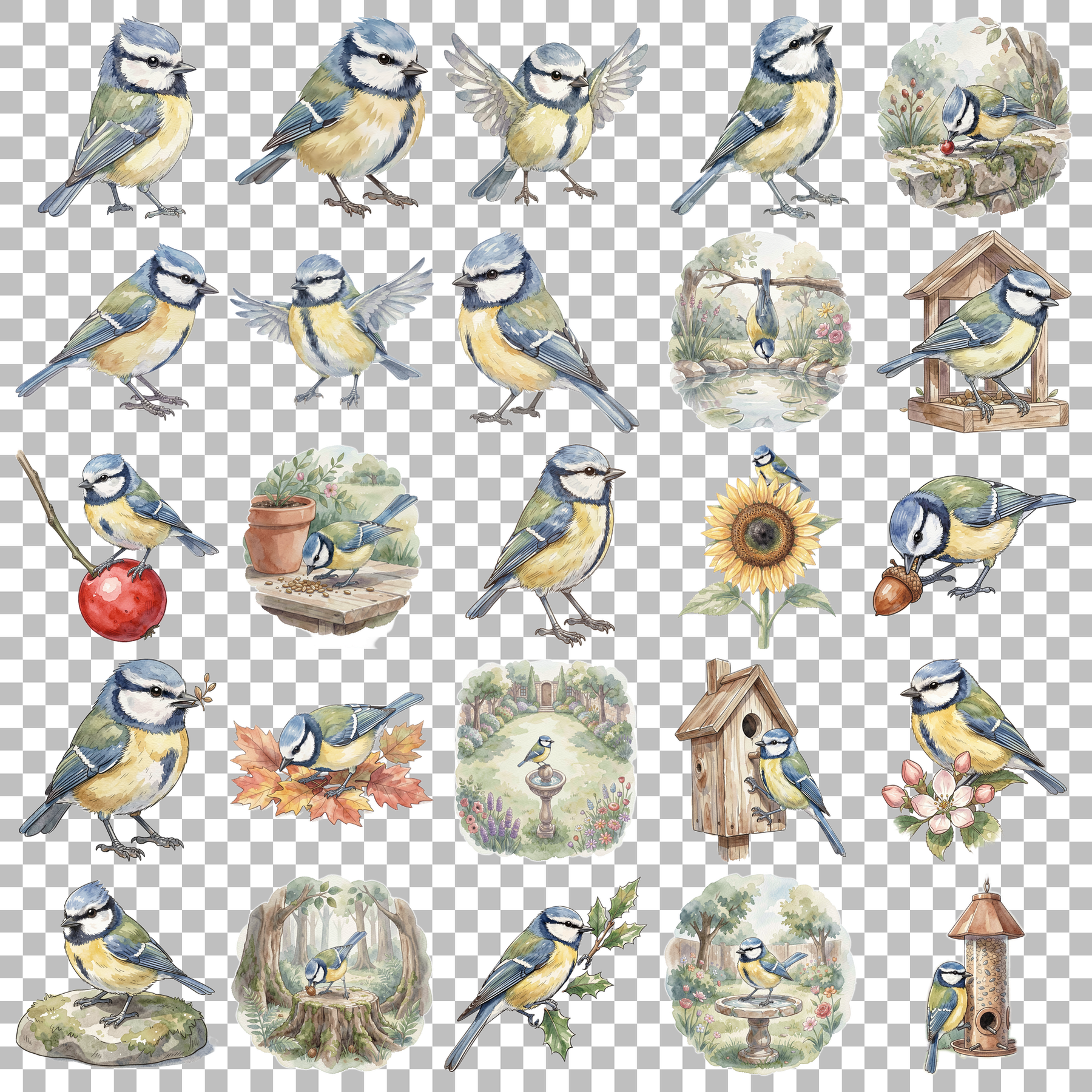 blaues-meise-transparent.png