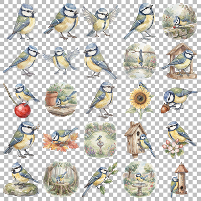 blaues-meise-transparent.png