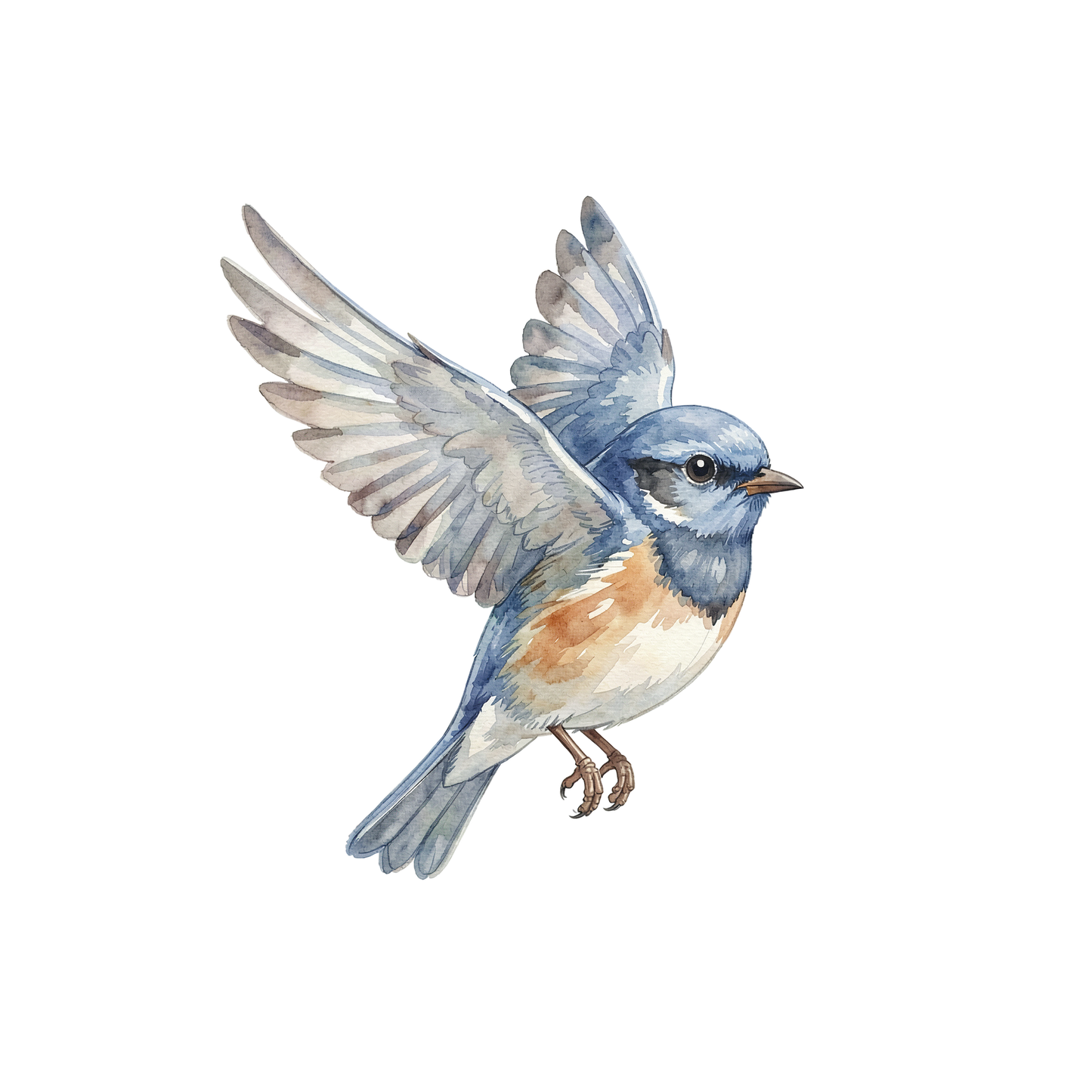 bluebird-einzel-2.png