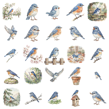 bluebird-titelbild.png